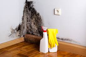 Best Industrial Mold Remediation  in East Peoria, IL